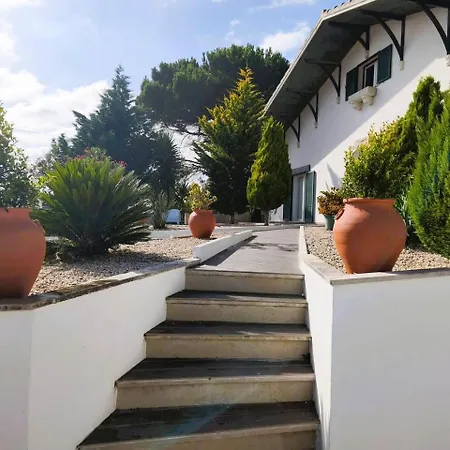 Side Leiria